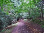Comillas 064.jpg