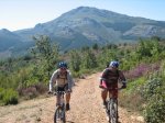 camino 043.jpg