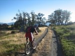 camino 125.jpg