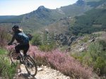 camino 037.jpg