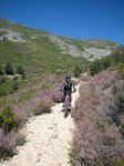 camino 036.jpg