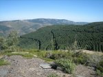 camino 064.jpg