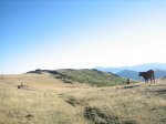 camino 089.jpg