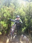 camino 033.jpg