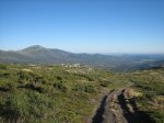 camino 116.jpg