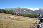 DSC_0344.jpg