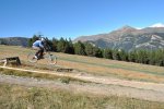 DSC_0384.jpg