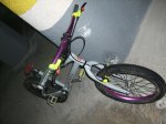 DSCF5008.jpg