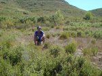 DSC00694.jpg