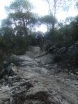 DSCF1816.jpg