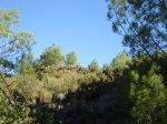 DSC00692.jpg