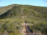 DSC00663.jpg