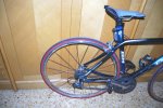 bh alberto 006.jpg