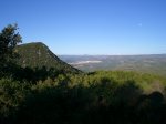 CIMG0601_low.JPG