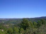 CIMG0619_low.JPG