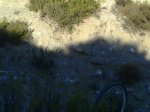 28092010088.jpg