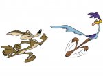 coyote7.jpg