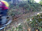 26092010537.jpg