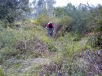 26092010544.jpg