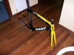 giant1.jpg