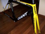 giant4.jpg