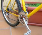 DSCN1446.jpg