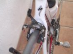 DSCN8024.jpg
