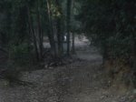 DSCF1822.jpg
