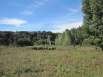 IMG_0267.jpg