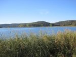 IMG_0261.jpg