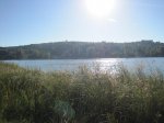 IMG_0262.jpg
