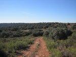 IMG_0264.jpg