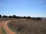 IMG_0269.jpg
