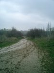 CIMG0939.JPG