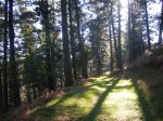 DSCF0848.JPG
