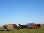 DSCF0857.JPG