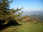 DSCF0869.JPG