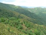 bobia-colladiella (23).jpg