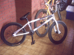 PIC00173.gif