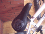 PIC00179.gif