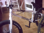PIC00181.gif