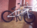 PIC00182.gif