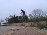 fly !.jpg