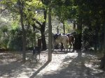 Imagen 084.jpg