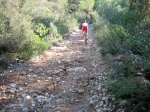 IMG_0511.JPG