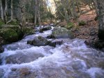 DSCN3377.JPG