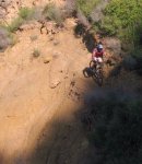 _IMG_0195_416x480.jpg