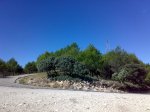 29092010229.jpg