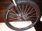 DSC00145.jpg