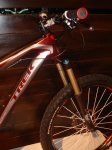 DSC00134.jpg